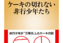 ケーキの切れない非行少年たち (新潮新書)