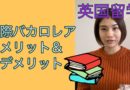 【国際バカロレア】真の国際教育？大学留学に有利？IBのメリット・デメリット答えます！